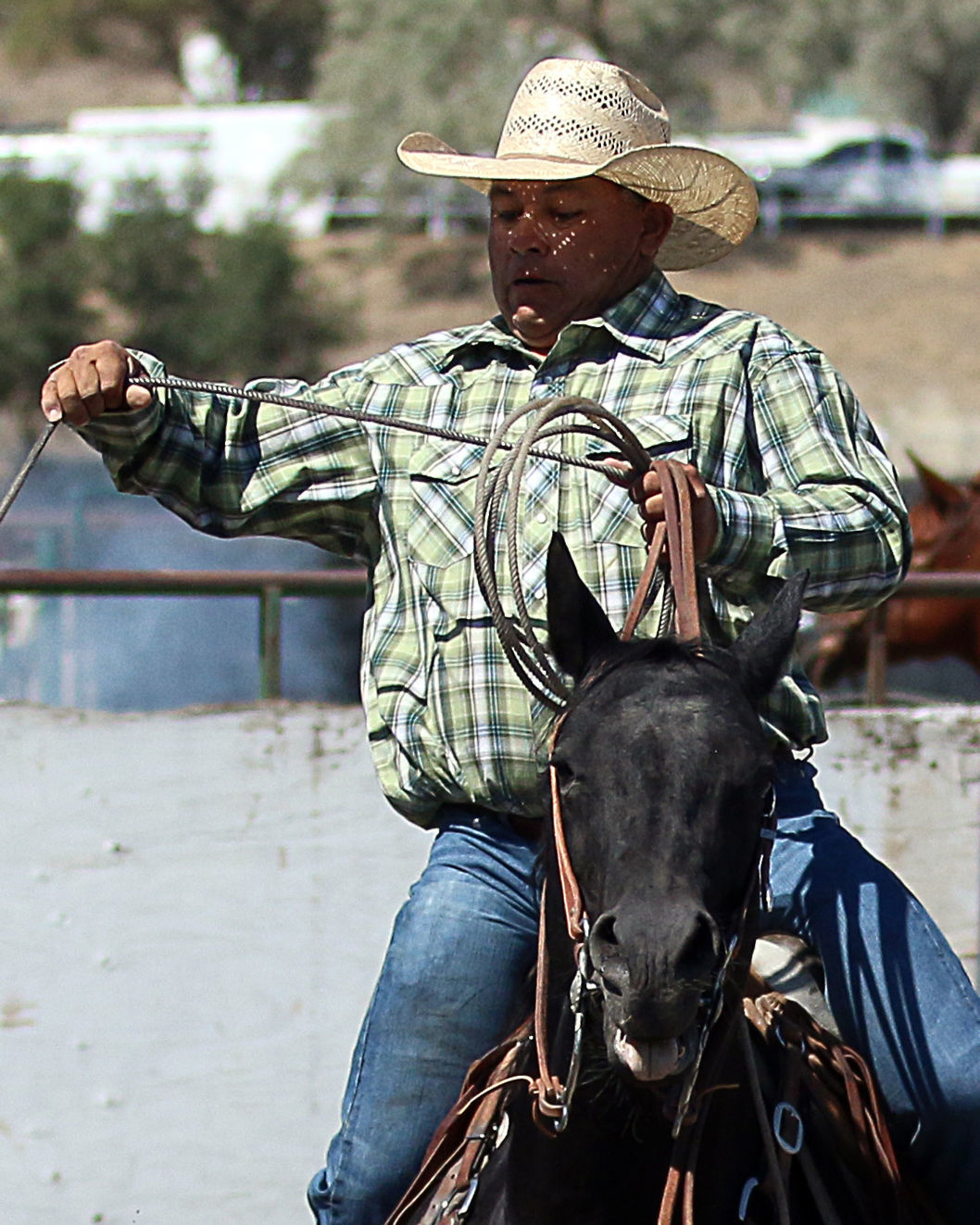 2018 Elko County Fair Open Branding Finals (25).JPG